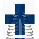 Logo CHU Paris